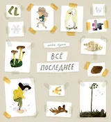 Всё последнее