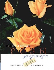 Идеальные розы за один сезон