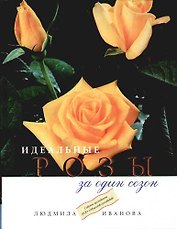 Идеальные розы за один сезон