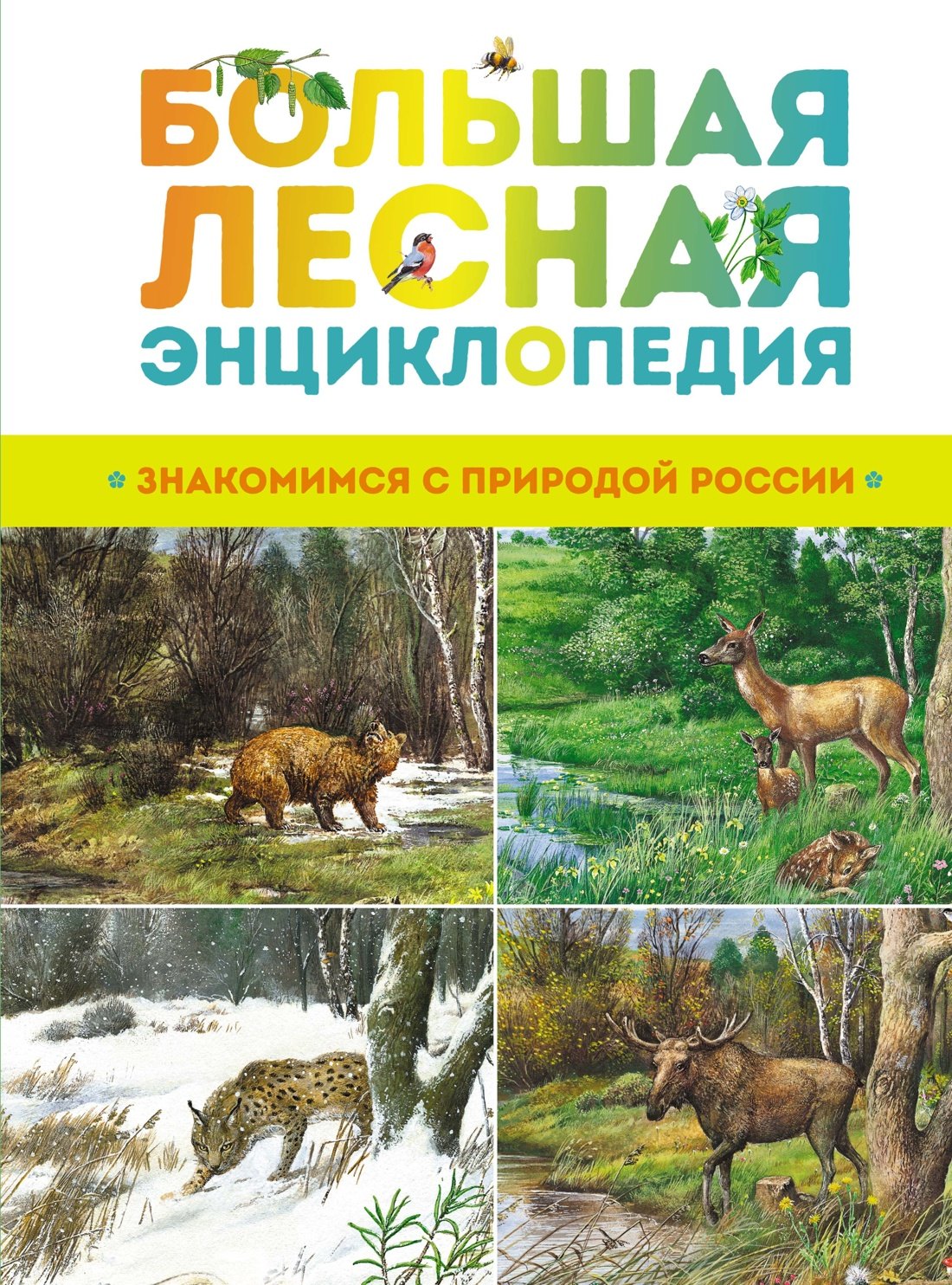 

Большая лесная энциклопедия. Знакомимся с природой России