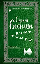 Пускай ты выпита другим