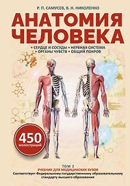 Анатомия человека. Сердце и сосуды, нервная система, органы чувств, общий покров
