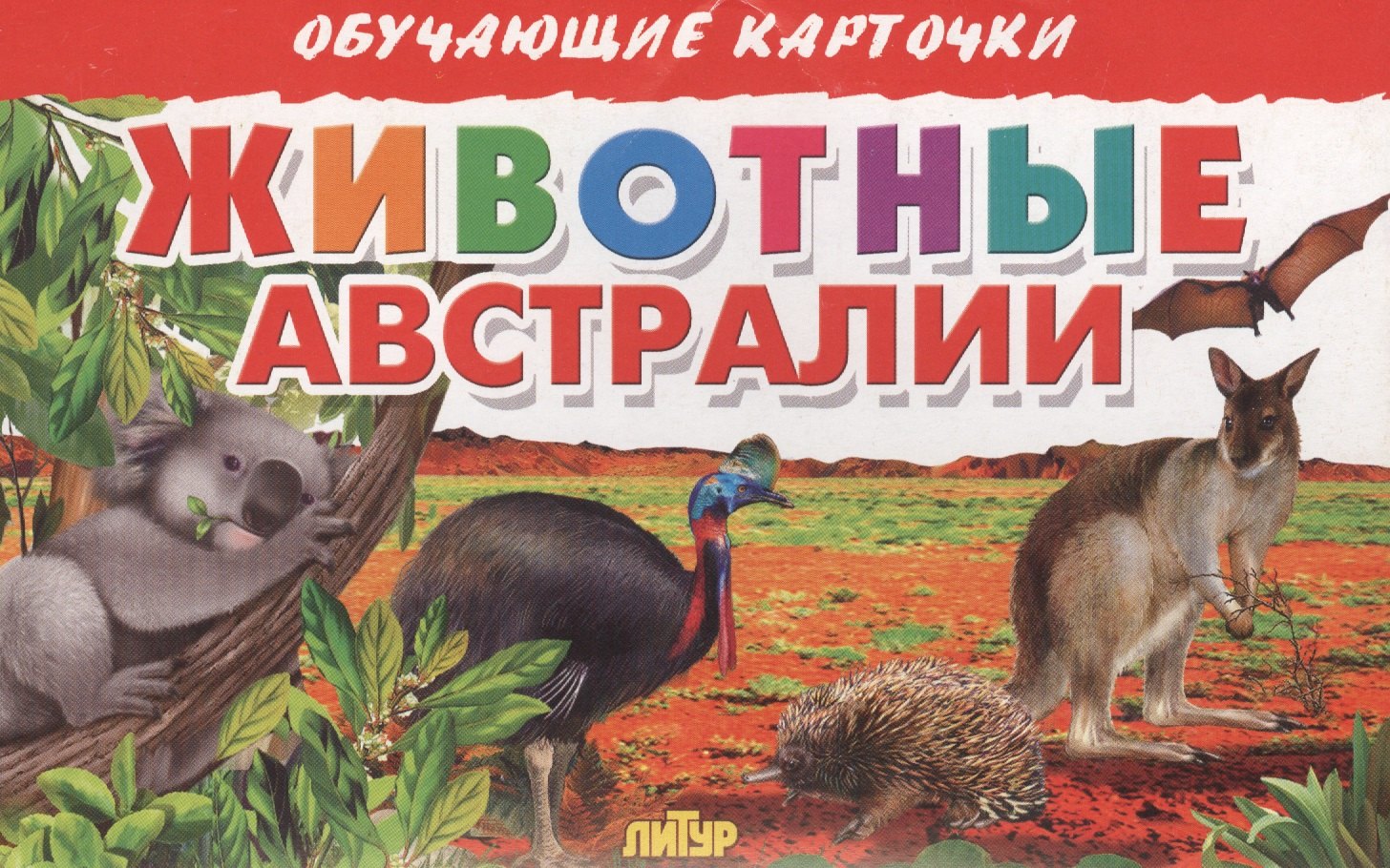 

Животные Австралии