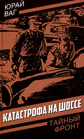 Катастрофа на шоссе