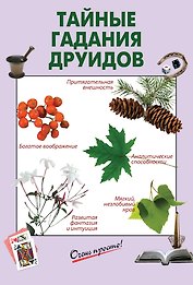 Тайные гадания друидов