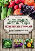 Экономим место на грядке. Повышаем урожай - 0