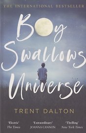 Boy Swallows Universe