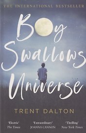 Boy Swallows Universe