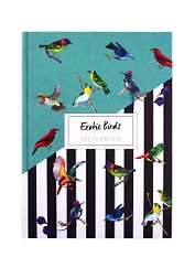 Скетчбук А5 80л "Exotic birds" белый офсет, 7БЦ