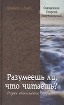 Разумеешь ли что читаешь Очерки евангельского созерцания (Проповеди и беседы) Завершинский