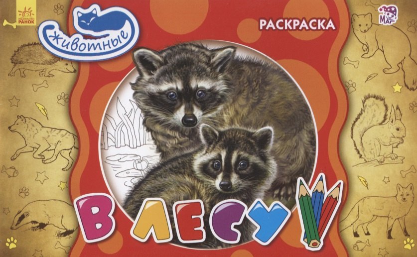 

В лесу. Раскраска