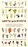 Цветы для букета. Справочник срезанных цветов для начинающего флориста. Что и когда покупать и как продлить цветам жизнь - 0