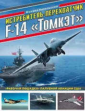 Истребитель-перехватчик F-14 «Томкэт». «Рабочая лошадка» палубной авиации США