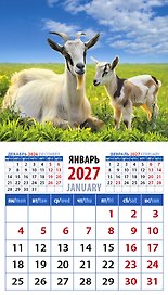 Календарь 2027г 94*167 «Год козы. Заботливая мама с малышом» на магните