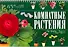 Комнатные растения. 100 самых популярных. Уход и выращивание. Размножение. Болезни и вредители - 0
