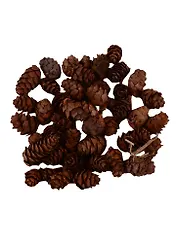 Шишка мелкая 50гр. орр с хедером