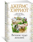 Вечное чудо жизни - 1