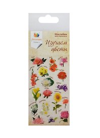 Наклейка декоративная леденцовая 2 Цветы 2 (70х160) (упаковка)
