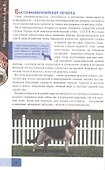 ЭНЦИКЛОПЕДИЯ. В МИРЕ ЗНАНИЙ. ПОРОДЫ СОБАК ОТ А ДО Я - 2