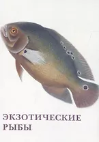 Экзотические рыбы. Набор открыток