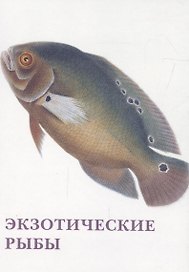 Экзотические рыбы. Набор открыток