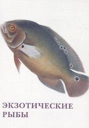 Экзотические рыбы. Набор открыток