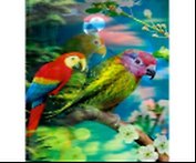 3D-картина 34х24см Пластик (M611)