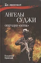 Ангелы Суджи. Операция "Поток"
