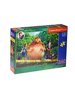 Пазлы 260 MIDI B-PU26282-OZ Сломанный мост (32х23см) (8+) (коробка) (Castorland)