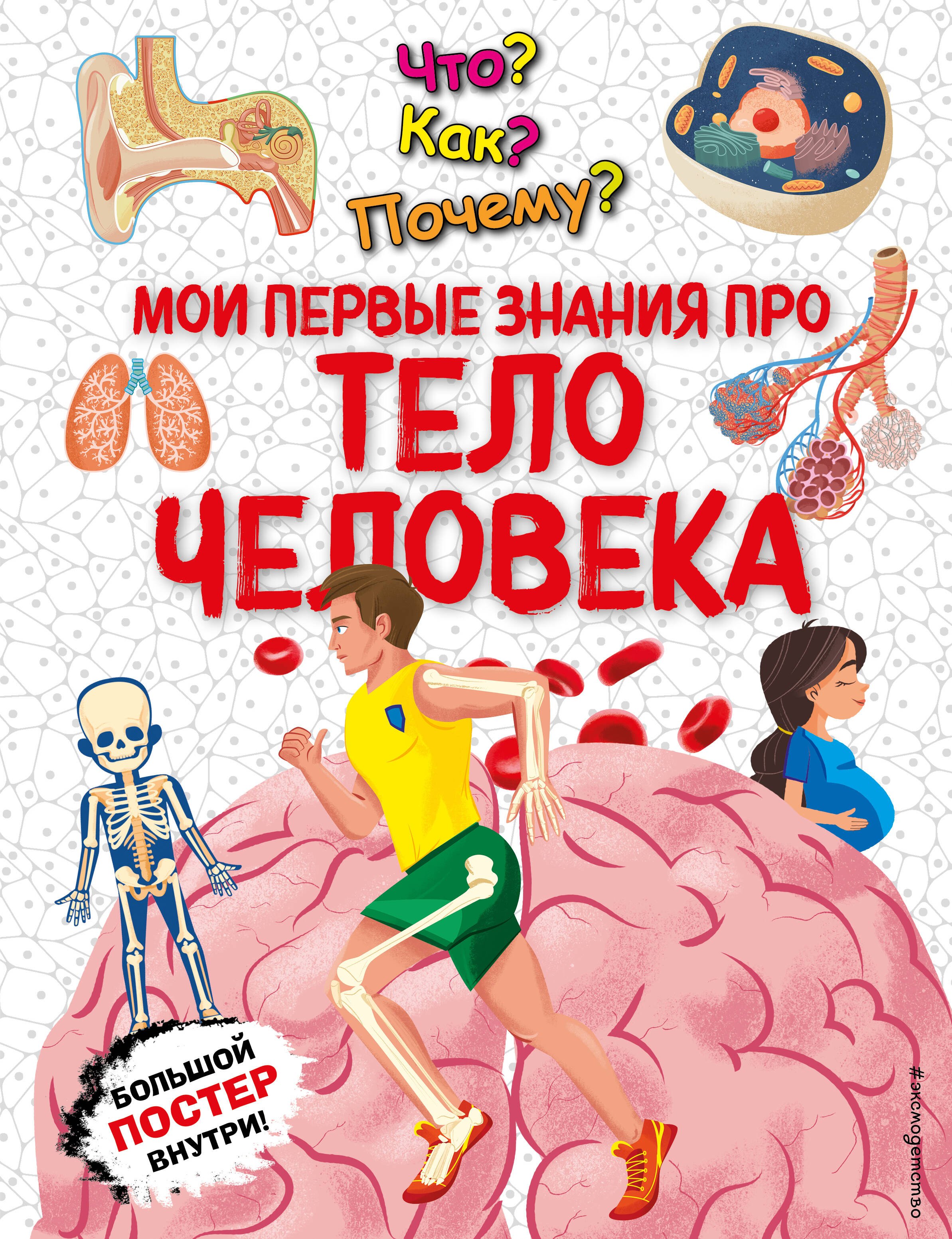 

Что Как Почему Мои первые знания про ТЕЛО ЧЕЛОВЕКА (с постером)