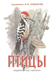 Птицы (на рус.-англ.яз.) худ.Комаров А.