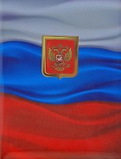 Папка для документов Флаг (531226)