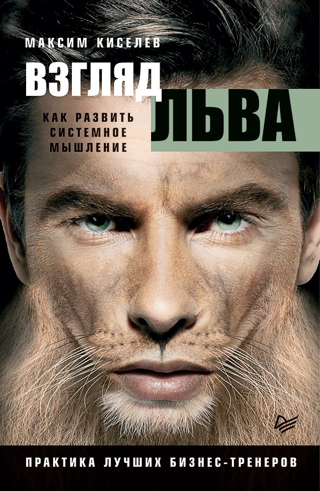 

Взгляд льва. Как развить системное мышление