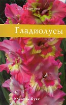 Гладиолусы