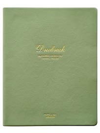 Дневник шк. "Feeling", зеленый, иск.кожа, интегр.переплёт, тиснение золотой фольгой, ляссе