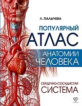 Популярный атлас анатомии человека. Сердечно-сосудистая система