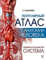 Популярный атлас анатомии человека. Сердечно-сосудистая система