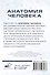 Анатомия человека. 80 карточек. Все системы - 1