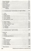 БЕЕЛ ЛА РУСЬ. Тайны древних топонимов. Книга 3 - 2