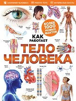 Тело человека