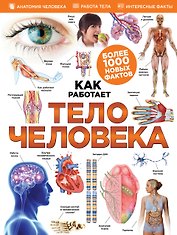 Тело человека