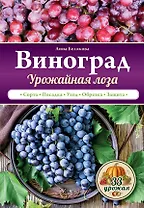 Виноград. Урожайная лоза