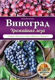 Виноград. Урожайная лоза