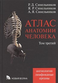 Атлас анатомии человека:В 4т.:Т.3.-7-е