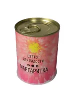 Подарочный набор для выращивания Цветы для радости Маргаритки (410909)