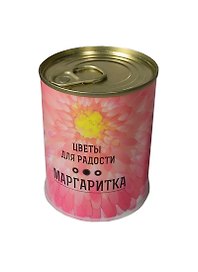 Подарочный набор для выращивания Цветы для радости Маргаритки (410909)