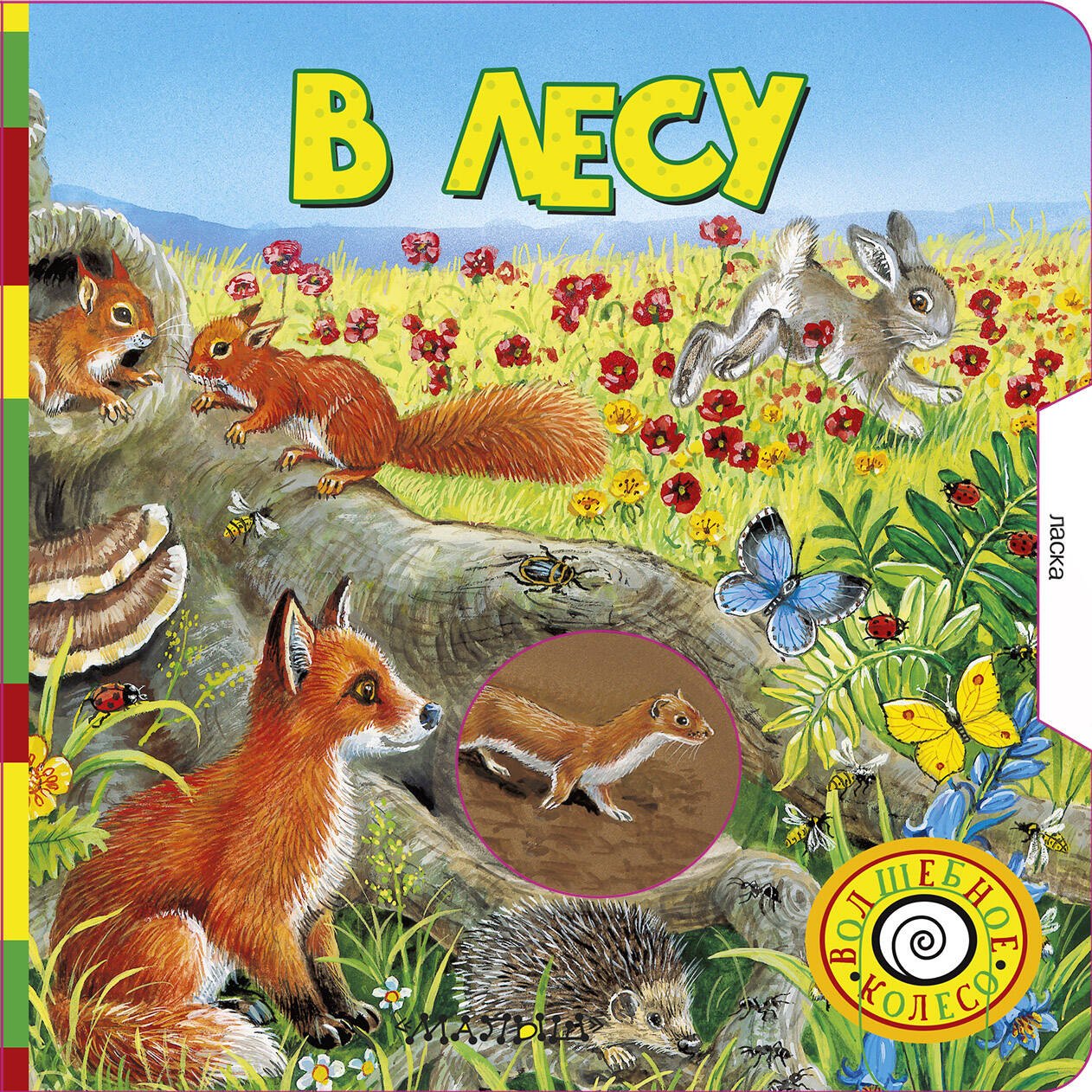 

В лесу