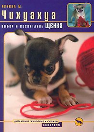 Чихуахуа. Выбор и воспитание щенка.
