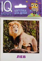 Умный малыш. Животные жарких стран. Набор карточек для детей.