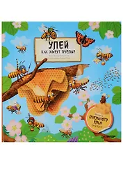 Улей.Как живут пчелы?